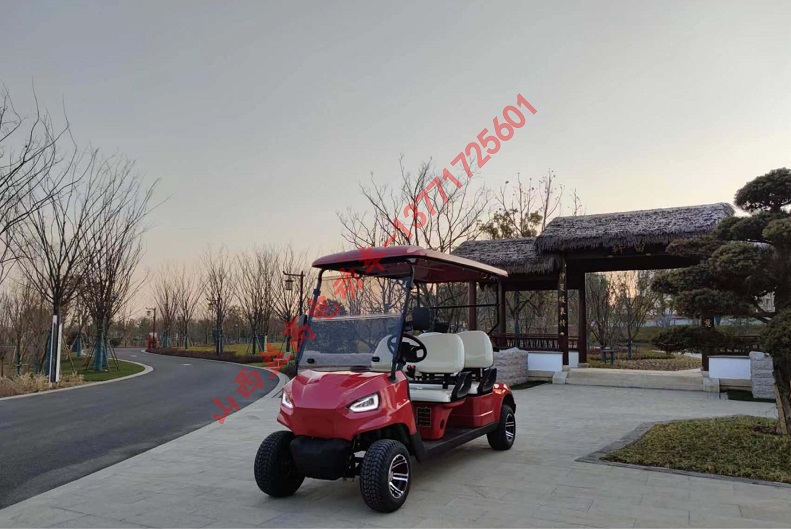 大眼睛高爾夫球車